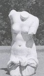 torso donna