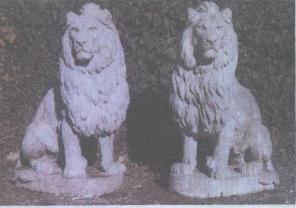 Leoni giganti